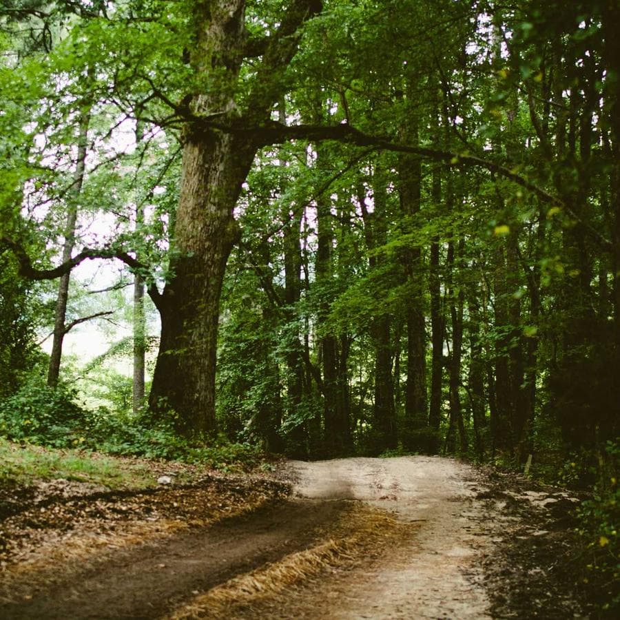 Samsung Galaxy S24 Ultra